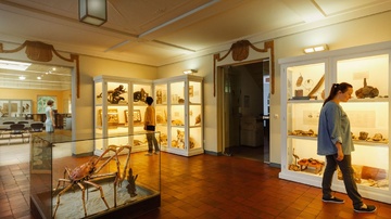 Naturkundemuseum Mauritianum - Foto: Simon Büttner