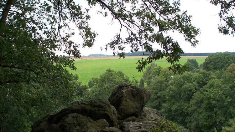 Naturlehrpfad Markersdorf - HVV